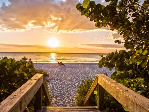 A sunlit beach at sunset seen from a wooden boardwalk, with calm ocean, sandy shore, and green foliage framing the scene.