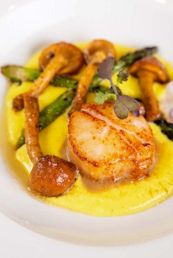 Seared scallop on a yellow puree with asparagus and mushrooms, topped with herbs, plated with a purple orchid garnish.