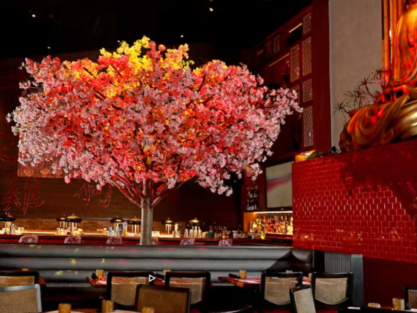 A restaurant patio with a bar, lantern lights, and a large blooming ornamental cherry tree under red walls, seen at night.