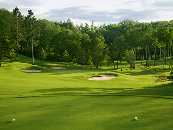 A lush golf course on a sunny day, with well-manicured fairways, several sand traps, and trees lining the green backdrop.