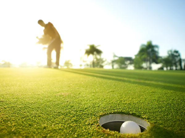 A golfer lining up a putt on a sunlit green, with a hole and ball in the foreground and blurred trees in the distance.