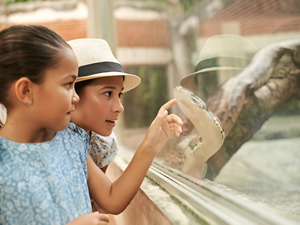 Two young girls observe and point at a close-up reptile on a glass exhibit, sharing curiosity at the zoo.