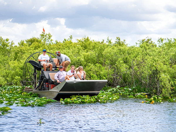 A group of people on a small boat glides through a waterway surrounded by lush green mangroves and lily pads.