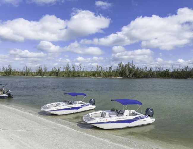 Three small speedboats with blue canopies sit at a sandy lakeshore while calm water and a tree-lined bank stretch under a bright, partly cloudy sky.