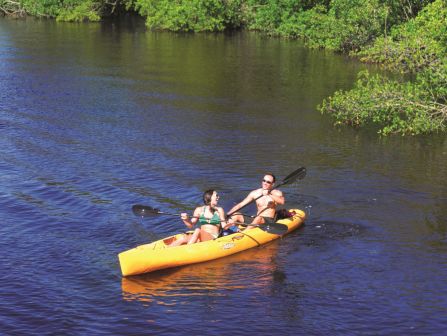 Two people paddling a yellow tandem kayak on calm water near lush green trees, enjoying a sunny day.