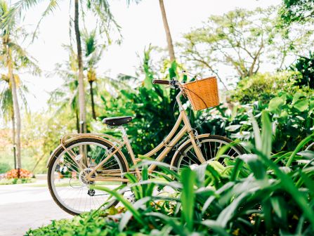 A yellow cruiser bike with a wicker basket parked along a lush path, framed by palm trees and dense green foliage.