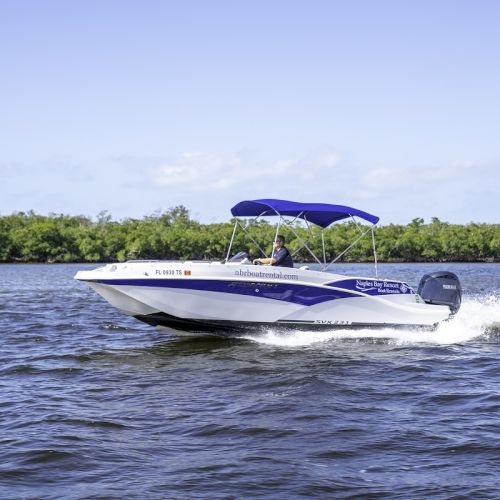 A white and blue speedboat glides across dark water near a green mangrove shore, powered by a stern outboard, with a blue canopy.