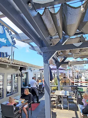 People dine on an outdoor terrace by a blue-painted building with a shark sign; sunlit tables, casual chatter, and boats in the background.